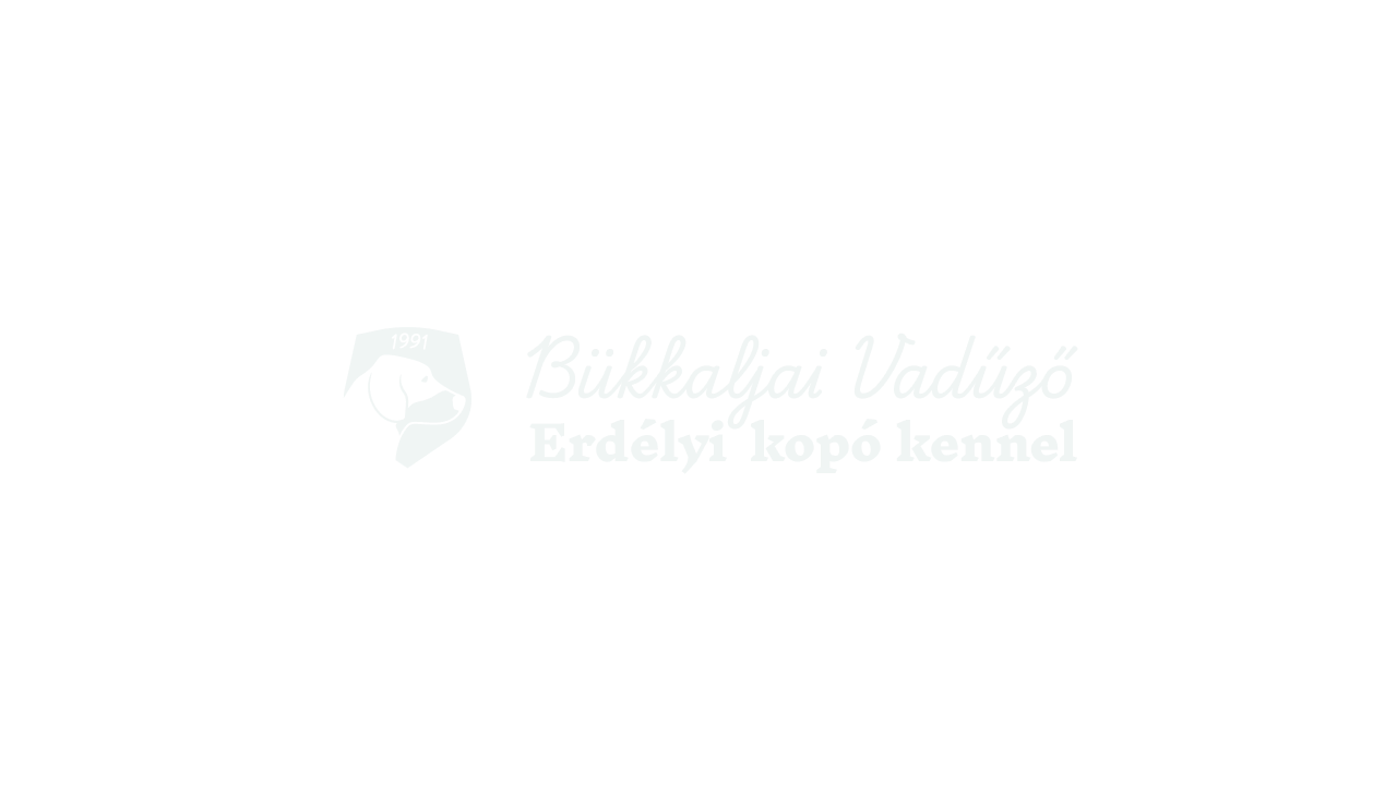Bükkaljai vadűző logo