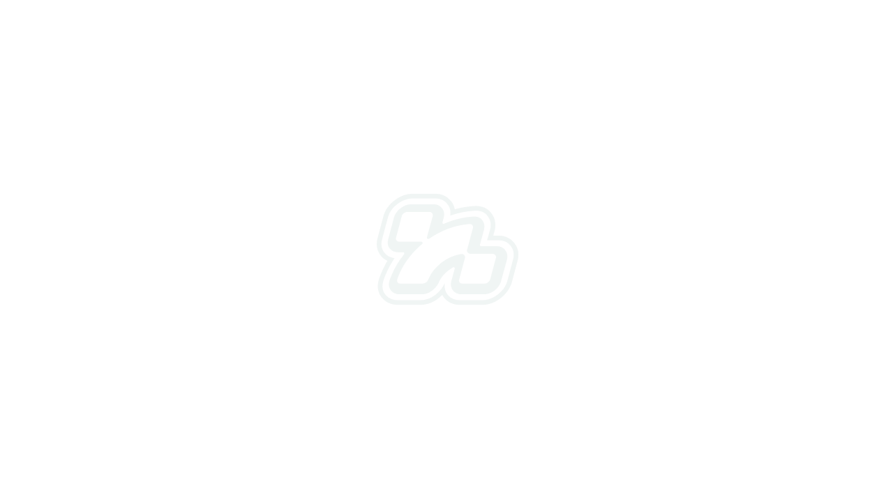 zylag logo
